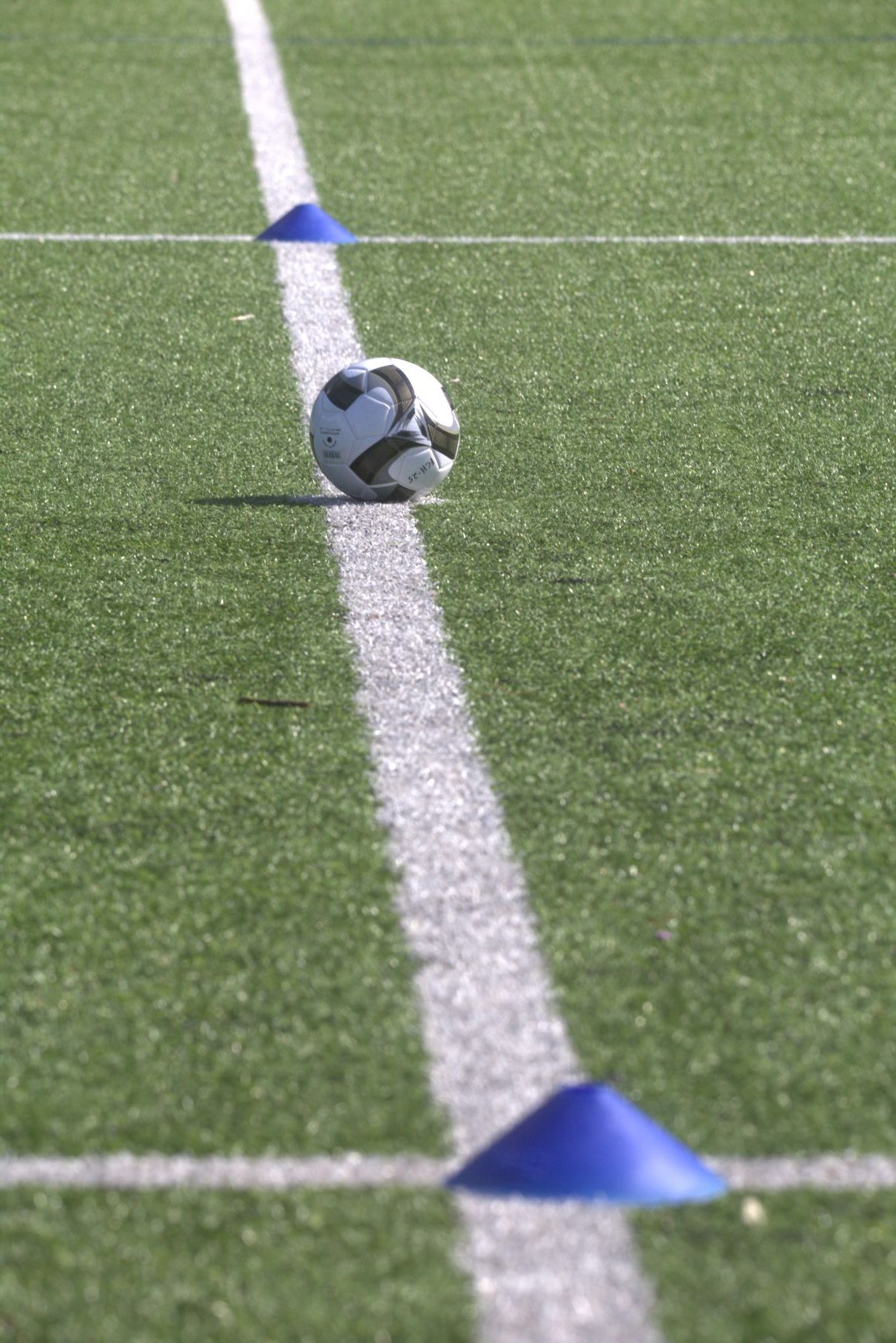 Pallo ja tötsät FC Hollola